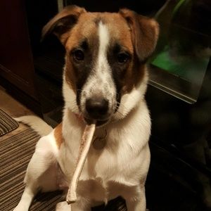 Meet your Posher, Liesl