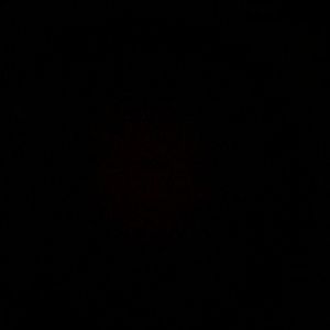 Meet your Posher, Julian