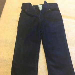 Corduroy