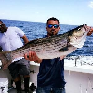 Meet your Posher, Jimmy