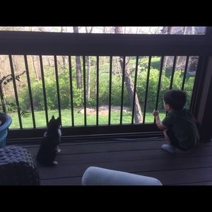 Meet your Posher, Rollyn