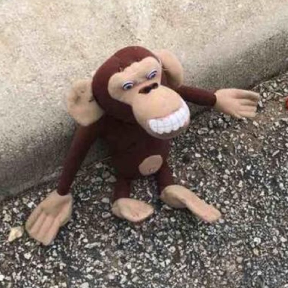 Meet your Posher, Lindsey