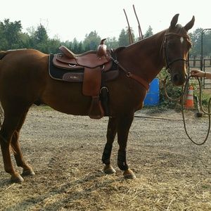 Meet your Posher, Kaylin