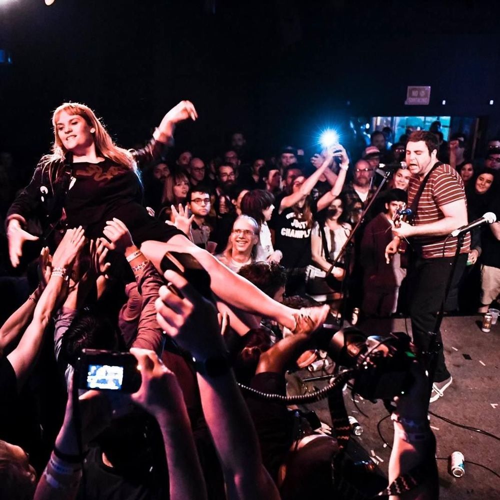 Meet your Posher, Taylor