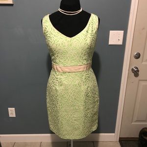 Maggy London Dress Size 14