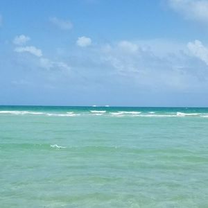 Meet your Posher, Sam