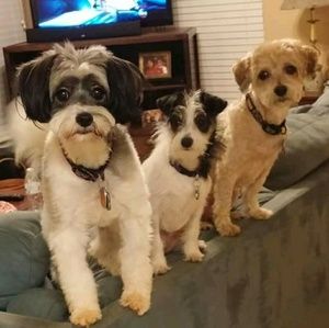 Meet your Posher, Colleen