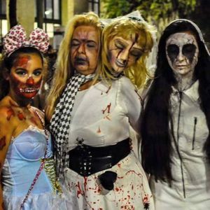 Meet your Posher, Marlene