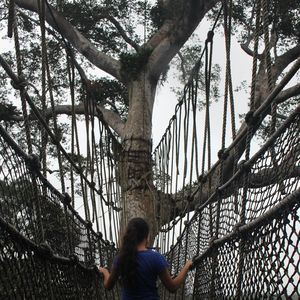 Meet your Posher, Julia