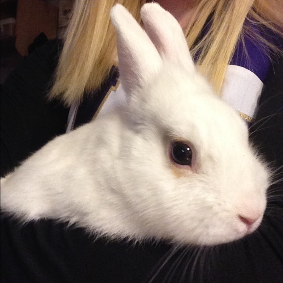 Meet your Posher, Alexis - Picture 1 of 1