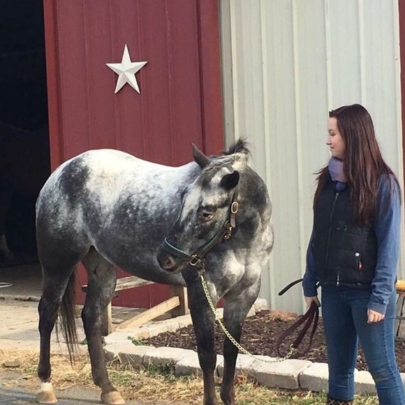 Meet your Posher, Emily - Picture 1 of 1