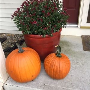 Meet your Posher, Denise