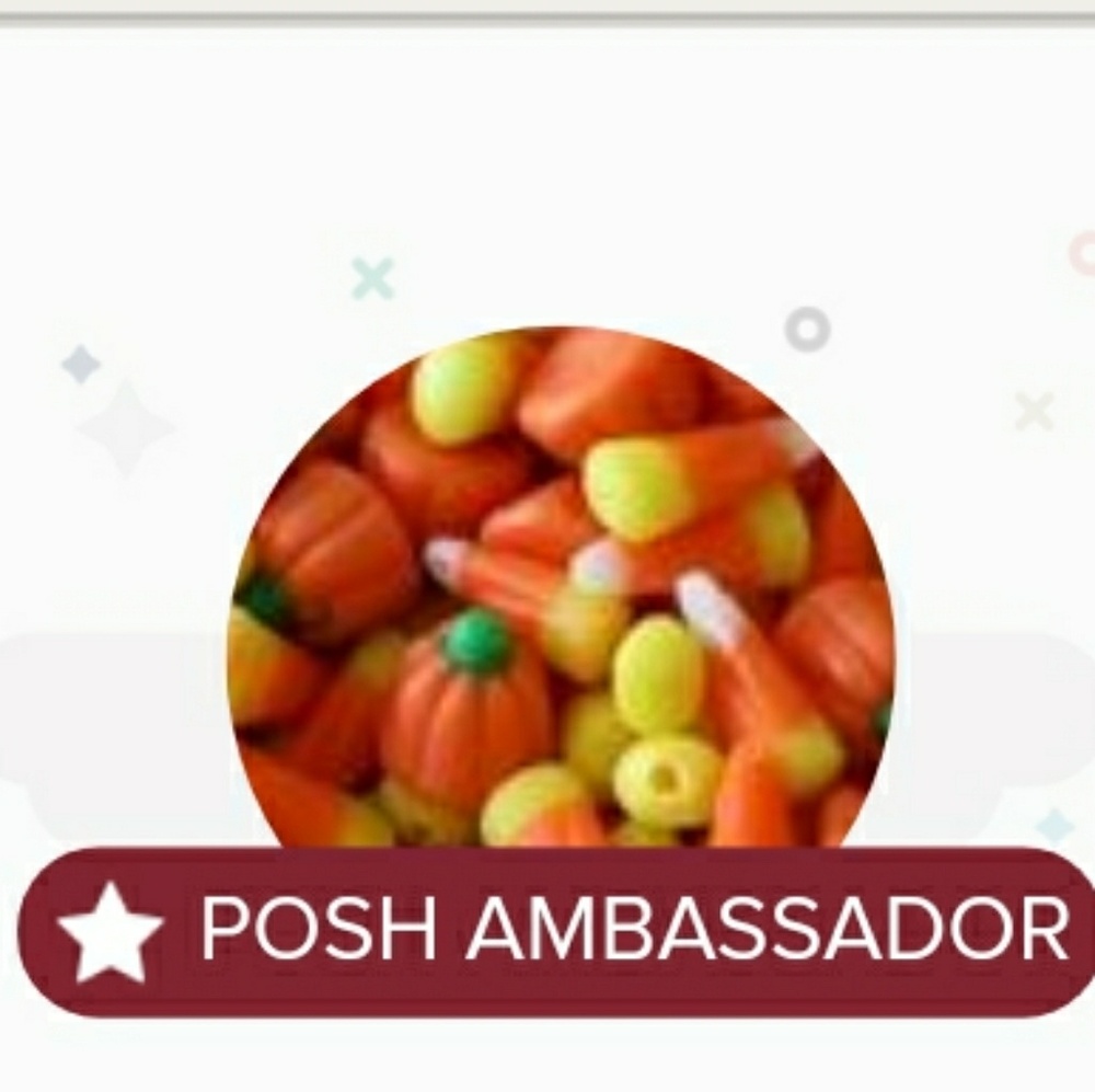 Officially a POSH AMBASSADOR!