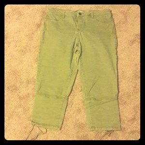 New York & co capris