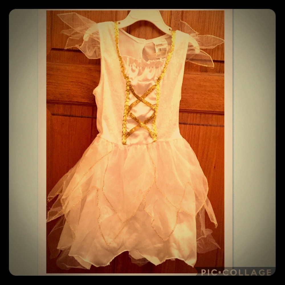 Fairy Costume