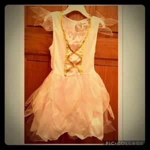 Fairy Costume
