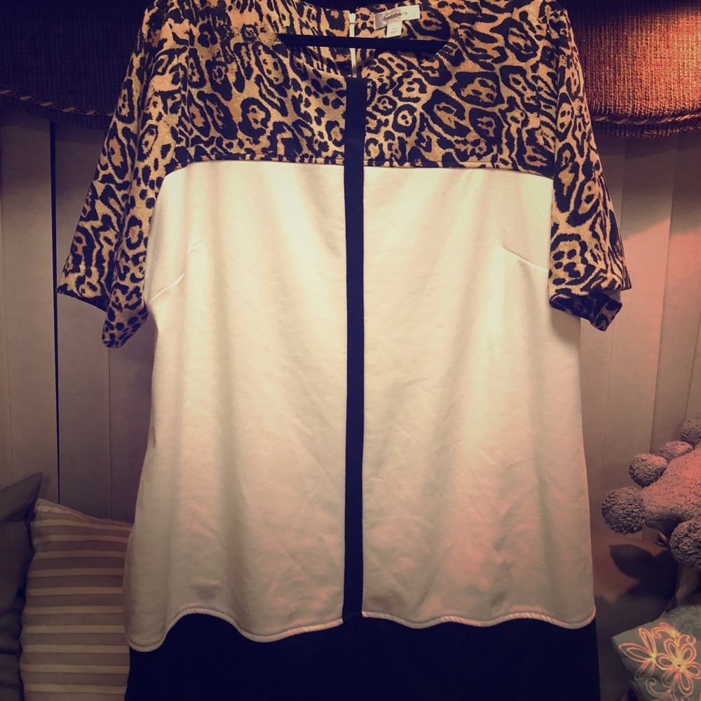 Lepoard Blouse! Dressbarn! Dressy Top!