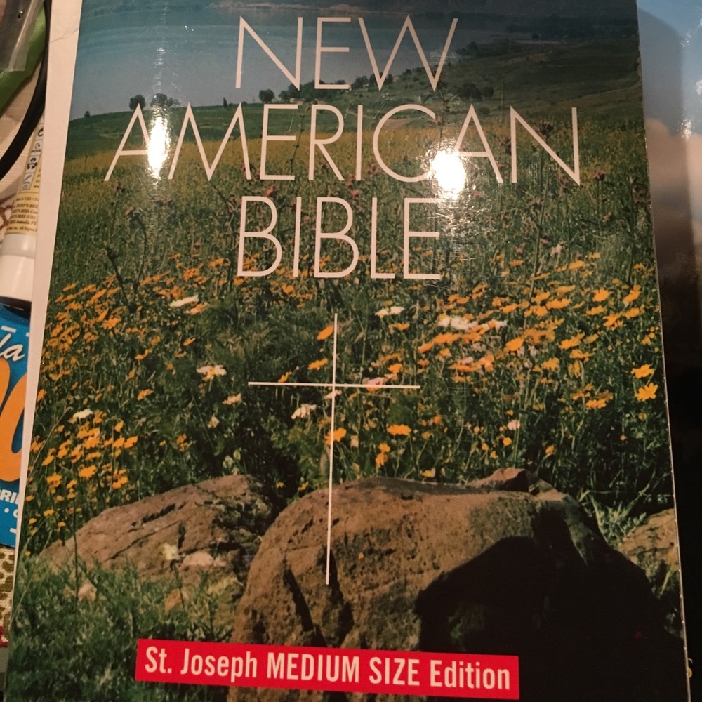 New American Version Holy Bible