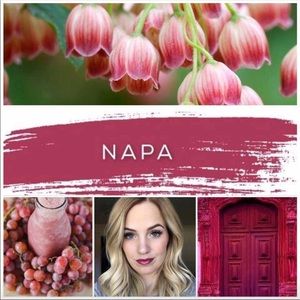 Lipsense new Napa color