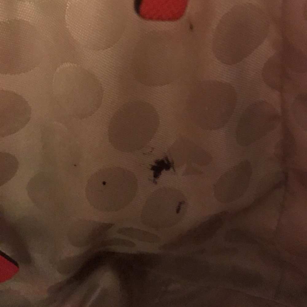 Kate Spade Cedar Street Hayden in watermelon bag - Picture 7 of 8