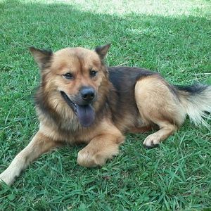 Meet your Posher, Lauren virgen