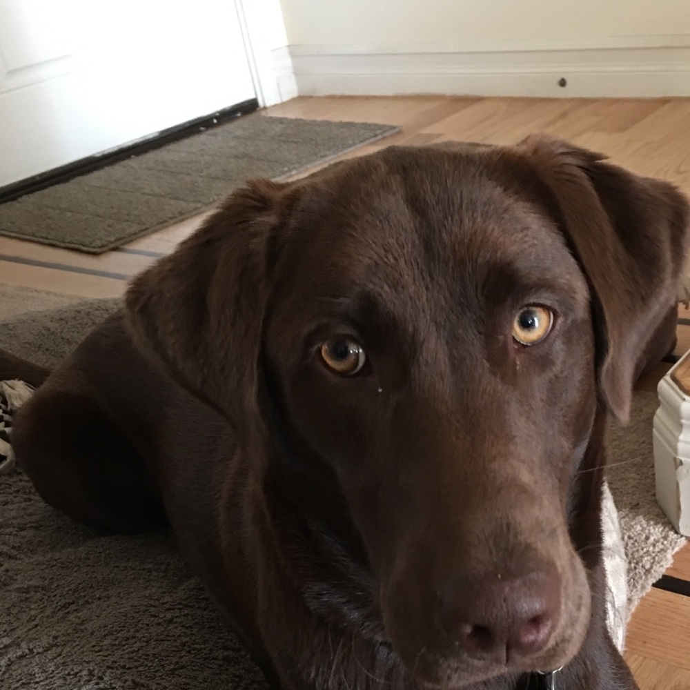 Meet your Posher, Megan