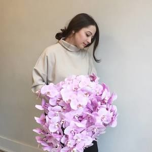 Meet your Posher, Tara