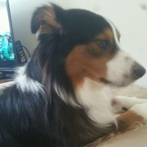 Meet your Posher, Destiny