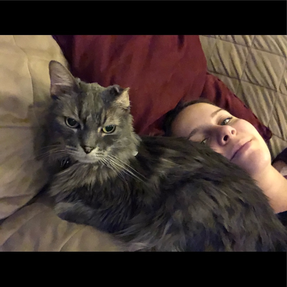 Meet your Posher, Kylie