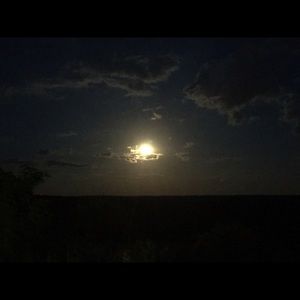 Meet your Posher, Bridget