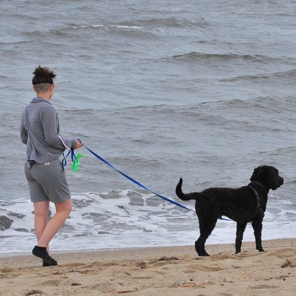 Meet your Posher, Emily - Picture 1 of 1