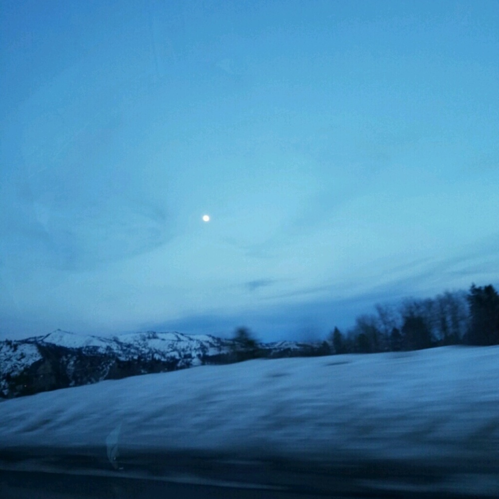 Meet your Posher, Roger