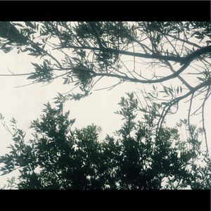 Meet your Posher, Aj