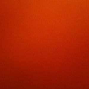 Meet your Posher, Shannan