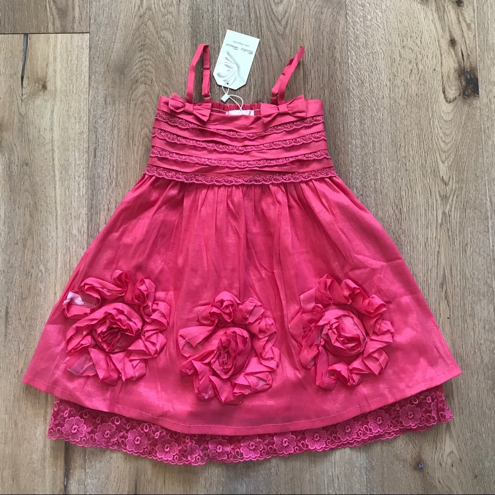 🦊 NWT Pink Rosette & Lace Dress