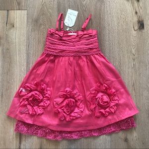 🦊 NWT Pink Rosette & Lace Dress