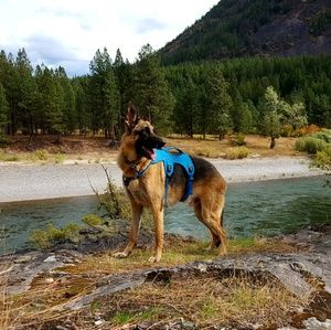 Meet your Posher, Christa