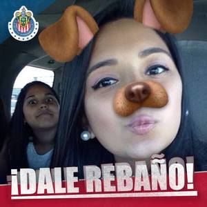 Meet your Posher, Erika