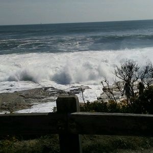 Meet your Posher, Jane