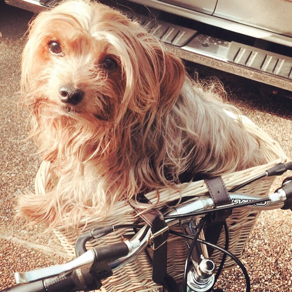 Meet your Posher, Beth