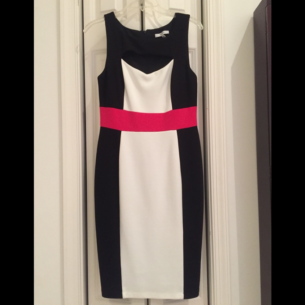 Bailey 44 dress