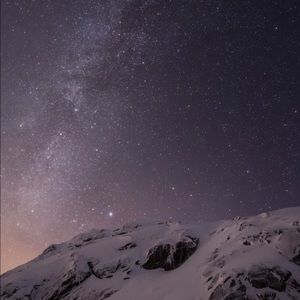 Meet your Posher, Bobby