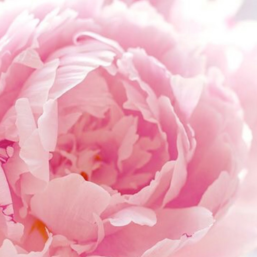 Meet your Posher, Melina