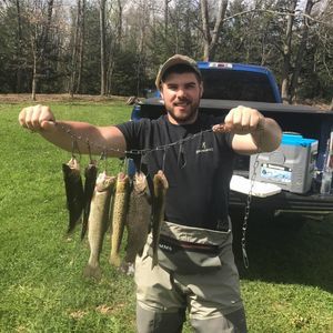 Meet your Posher, Nick