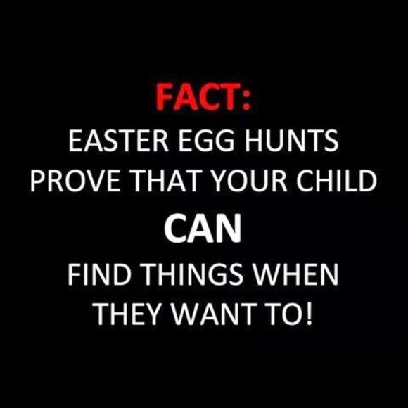 Meet your Posher, Jaime - Picture 1 of 1