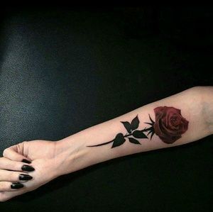 Meet your Posher, Jeraldi