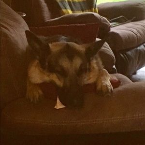 Meet your Posher, Annette