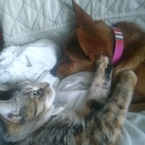 Meet your Posher, Gail