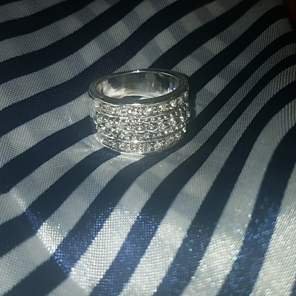 Silverstone ring - Picture 4 of 4
