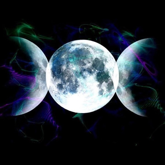 Meet your Posher, Lisa - Picture 1 of 1